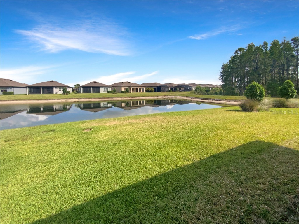 19664 Ship Wheel Way Land O Lakes FL 34638 TB8391674 image31