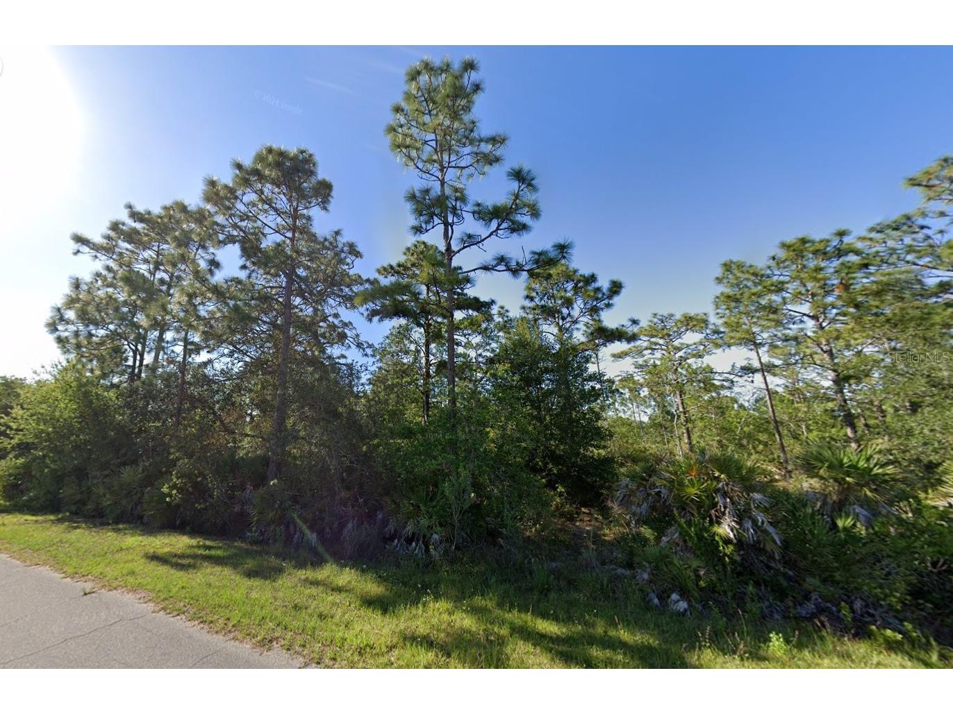 19665 Ralston Street Orlando FL 32833 O6381686 image1
