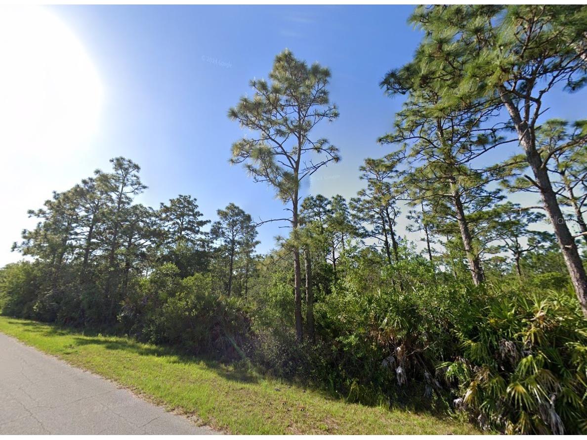 19665 Ralston Street Orlando FL 32833 O6381686 image2