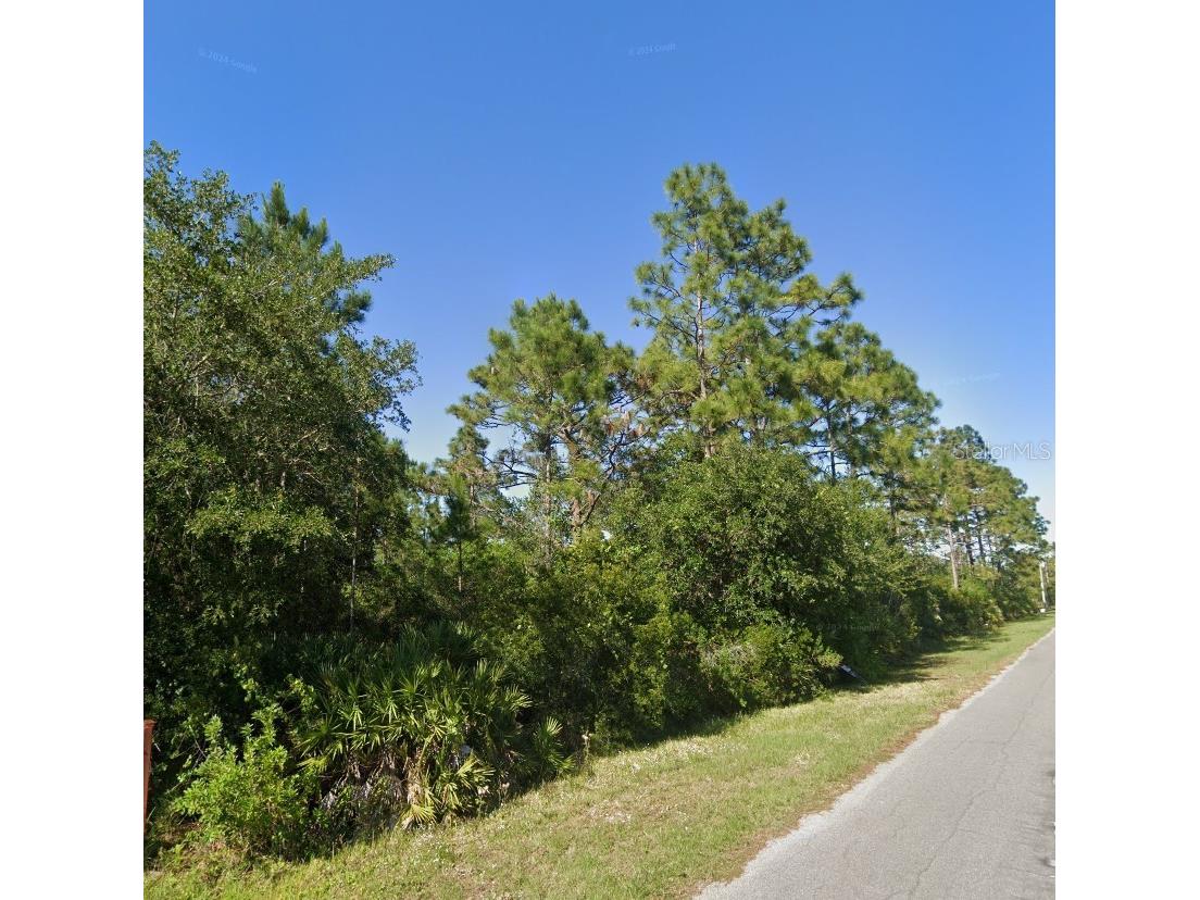 19665 Ralston Street Orlando FL 32833 O6381686 image3