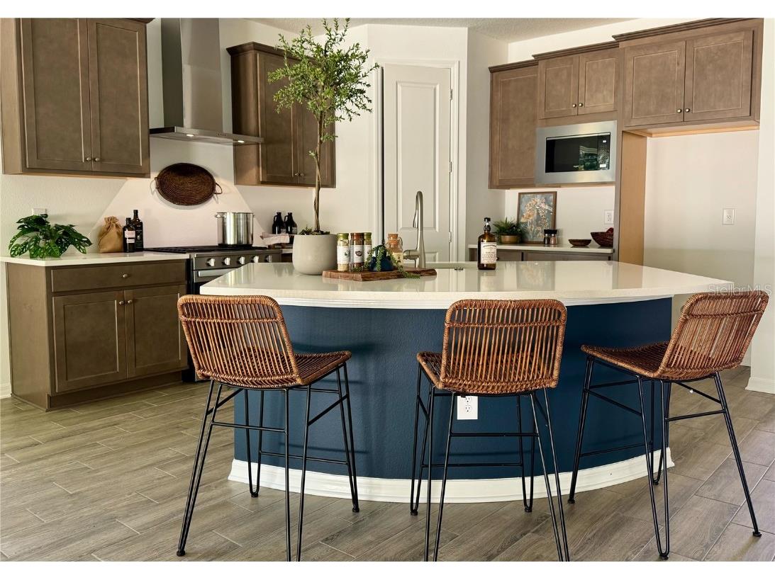 19669 Fort King Run Brooksville FL 34601 A4647580 image13