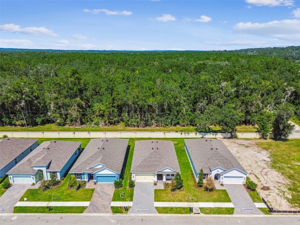 19669 Fort King Run Brooksville FL 34601 A4647580 image63