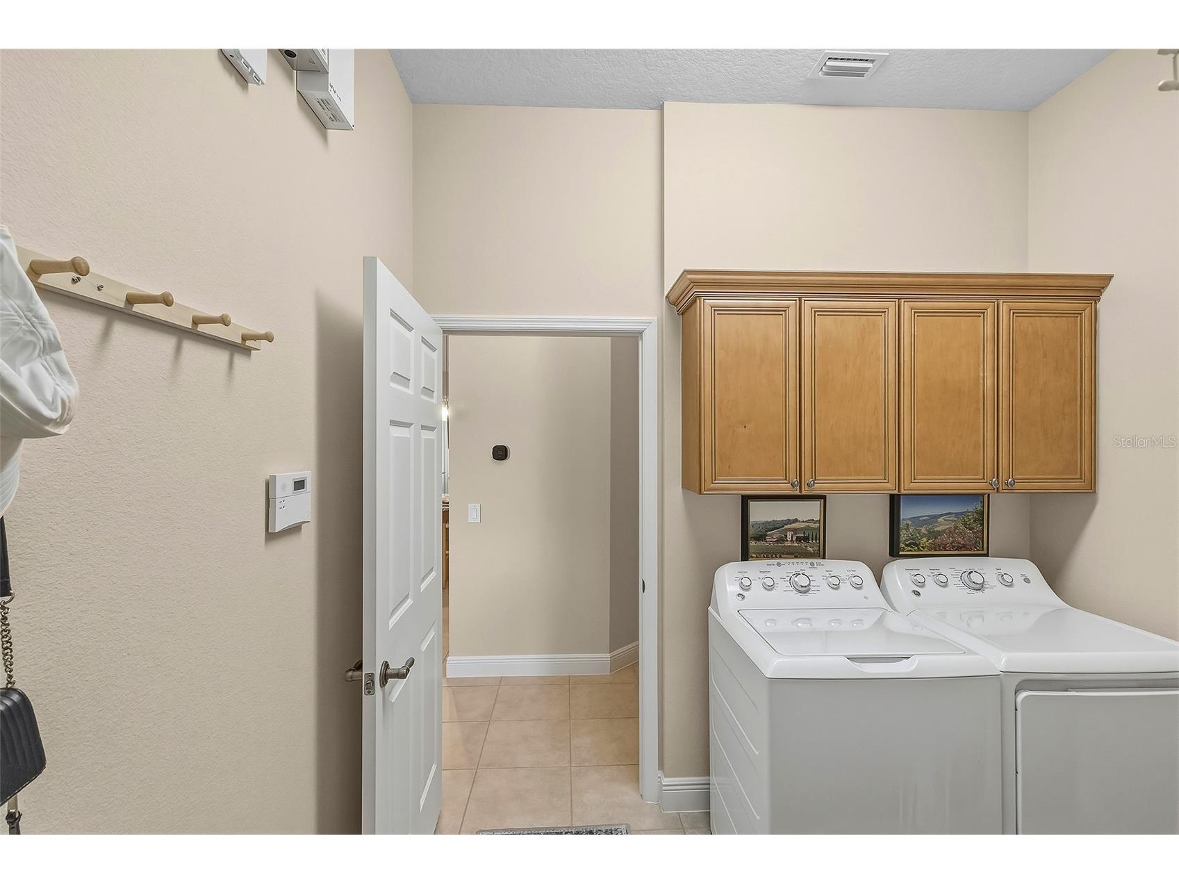 1967 Lake Ridge Drive The Villages FL 32162 G5109576 image52