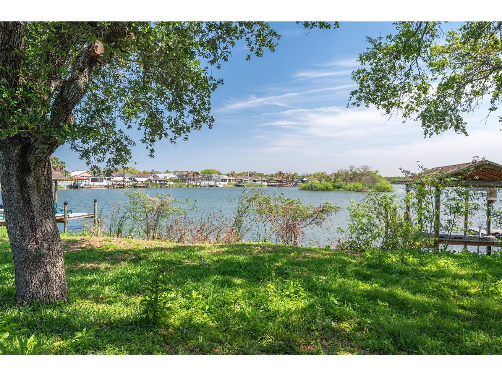 1968 Fruitridge Street Brandon FL 33510 P4938209 image32