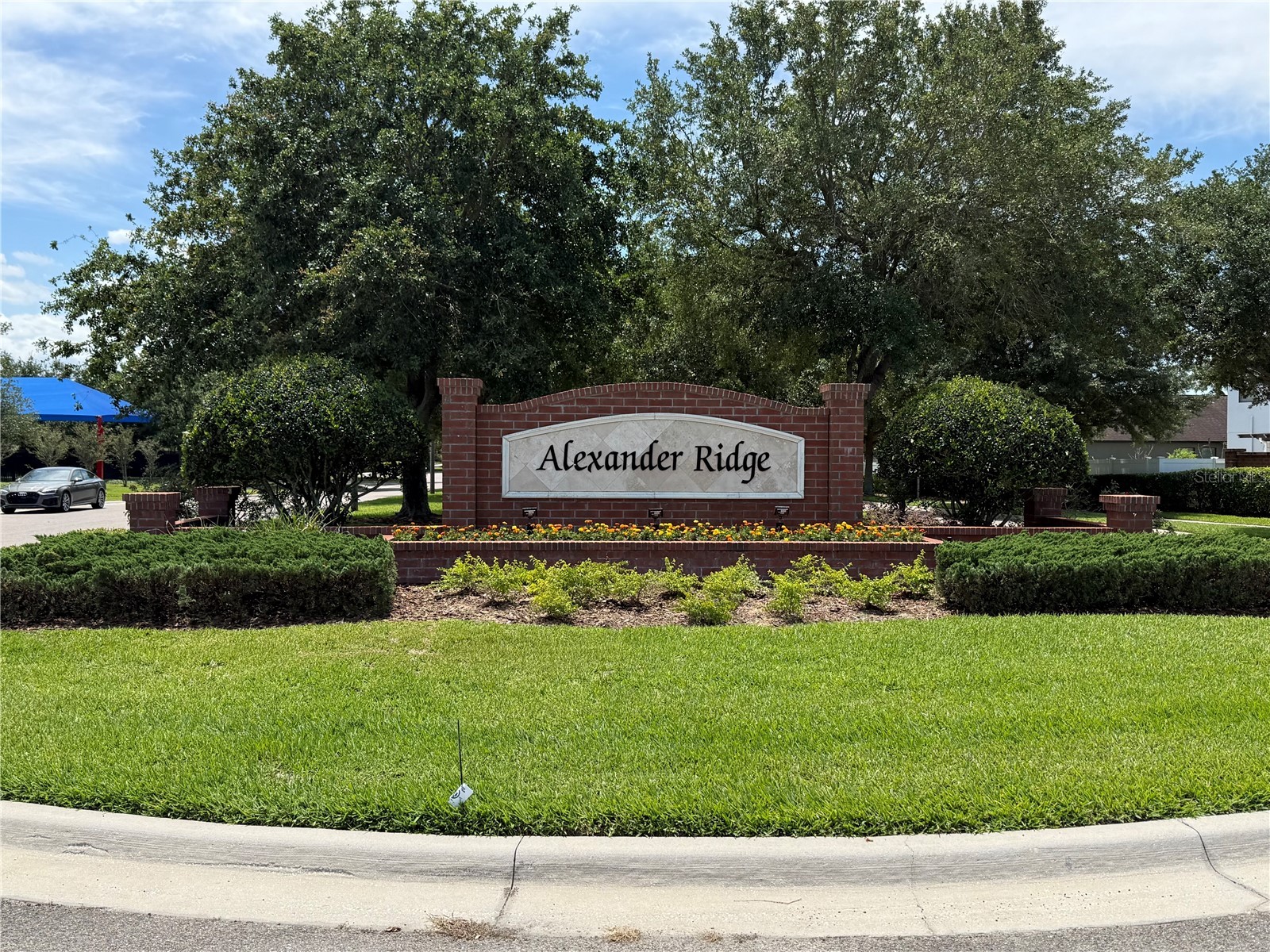 1968 Pantheon Drive Winter Garden FL 34787 O6404386 image38