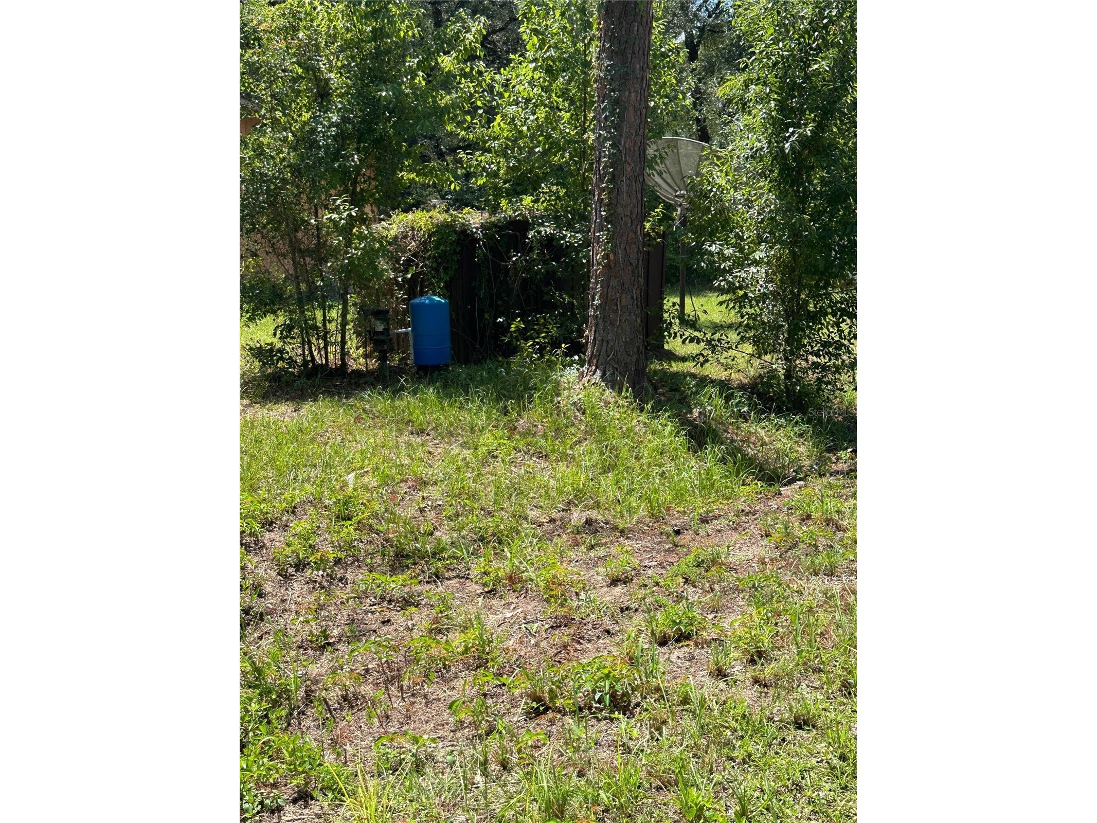 1968 SE 161st Terrace Ocklawaha FL 32179 G5115502 image12