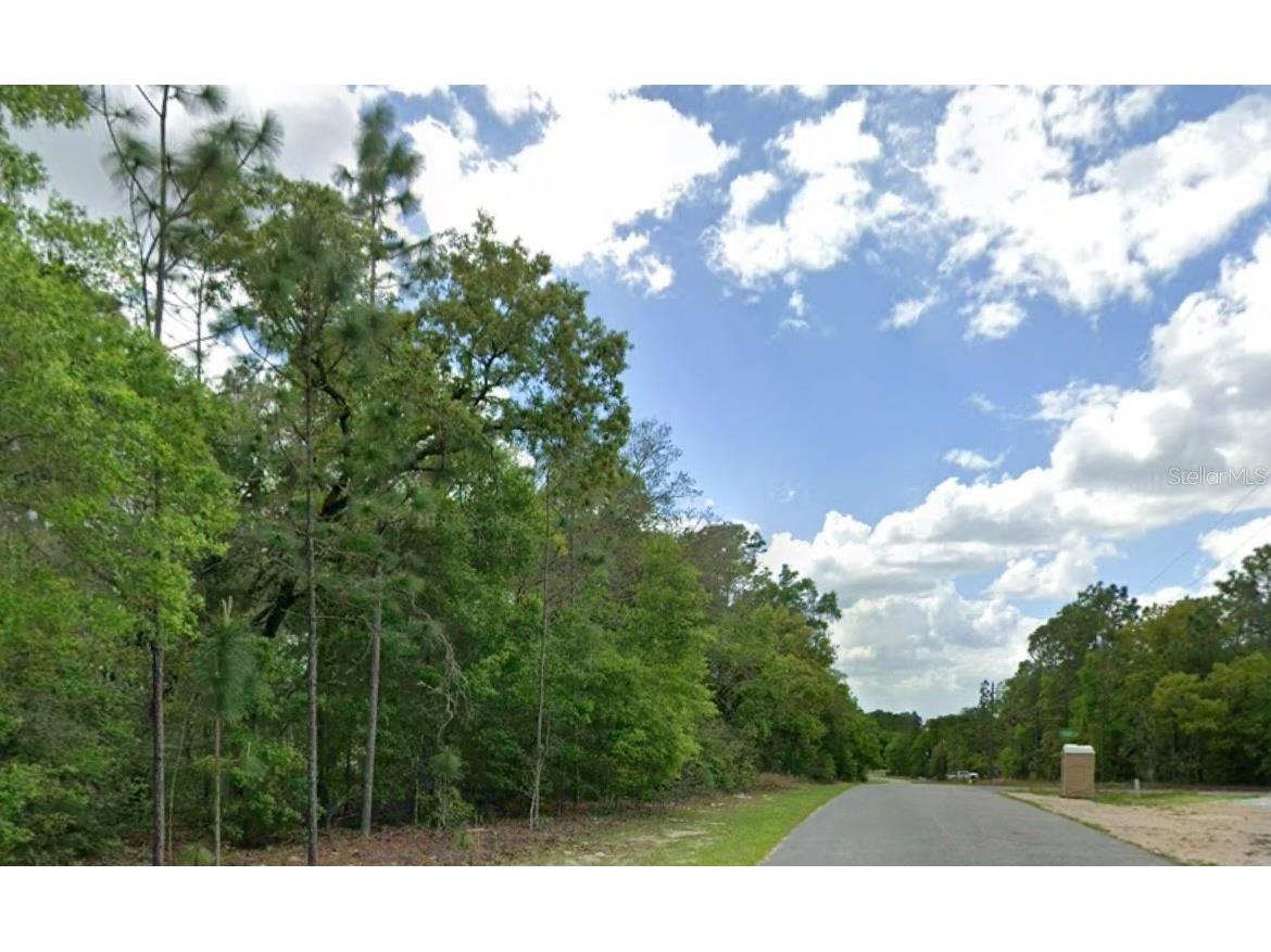 1968 W Shellbark Drive Citrus Springs FL 34434 V4948751 image1