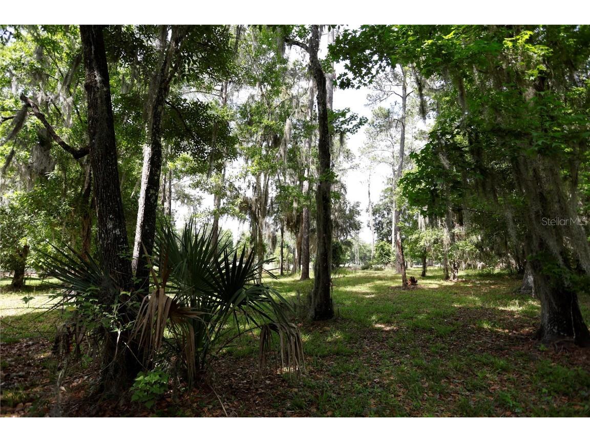 19682 Sterling Bluff Way Brooksville FL 34601 W7863874 image1