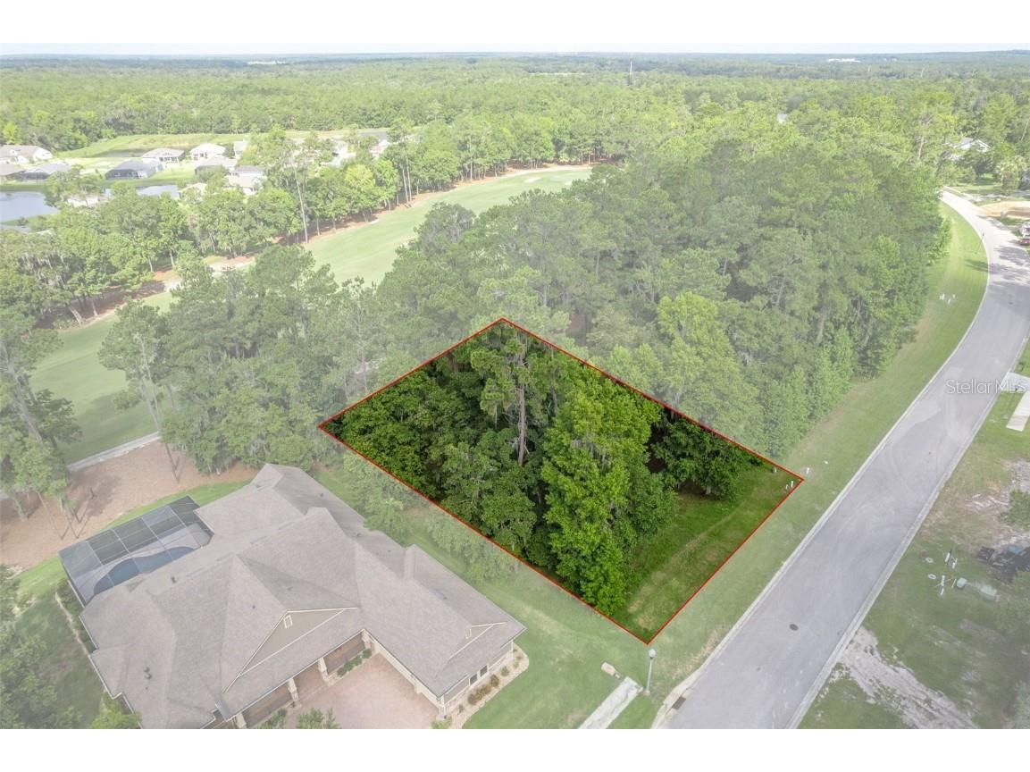 19682 Sterling Bluff Way Brooksville FL 34601 W7865994 image1