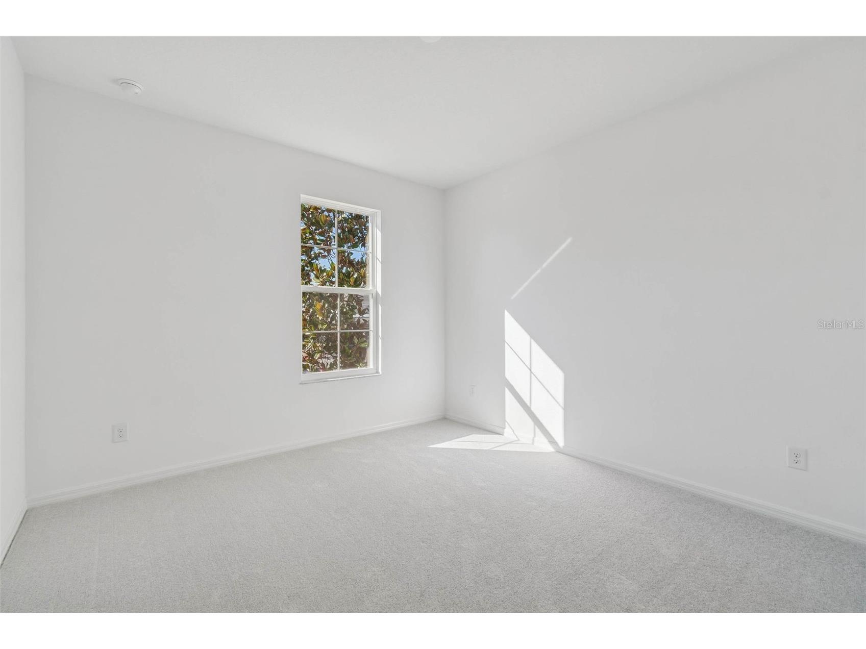 19689 Fort King Run Brooksville FL 34601 A4661047 image18