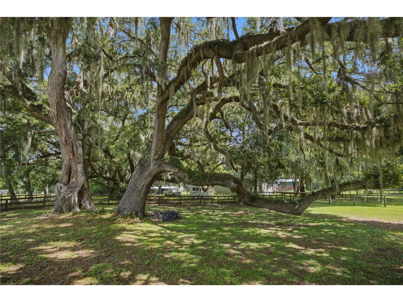 1969 SE 155th Street Summerfield FL 34491 O6420572 image39
