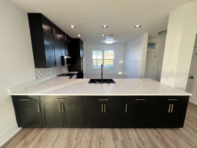 197 Blackstone Creek Road Groveland FL 34736 O6388861 image22