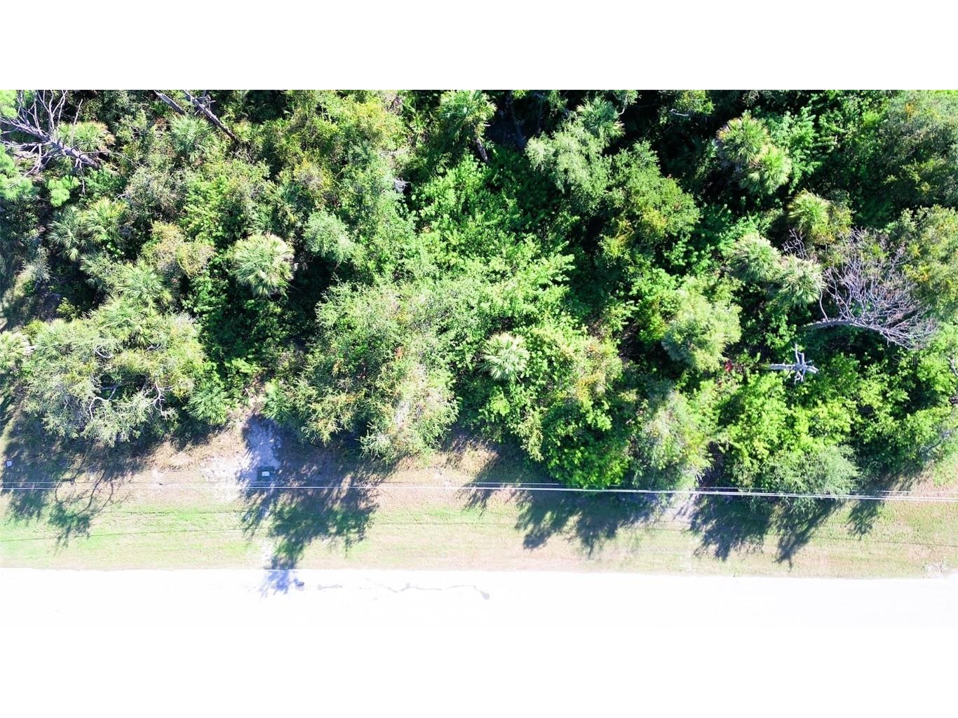 197 Cougar Way Rotonda West FL 33947 C7518423 image6