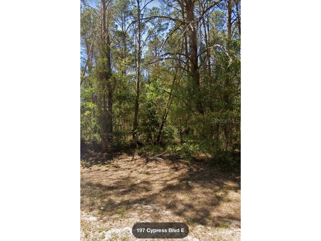 197 Cypress Boulevard E Homosassa FL 34446 S5089131 image1