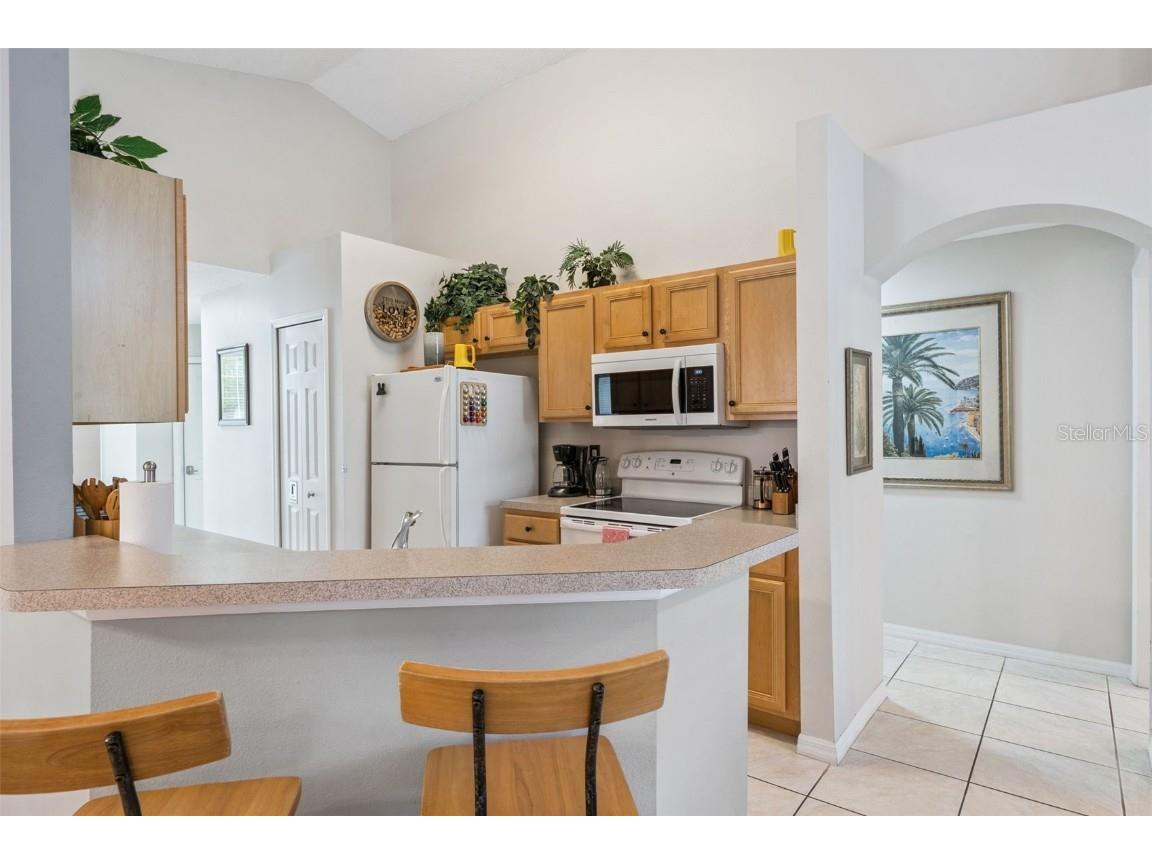 197 Hideaway Beach Lane Kissimmee FL 34746 S5139158 image11