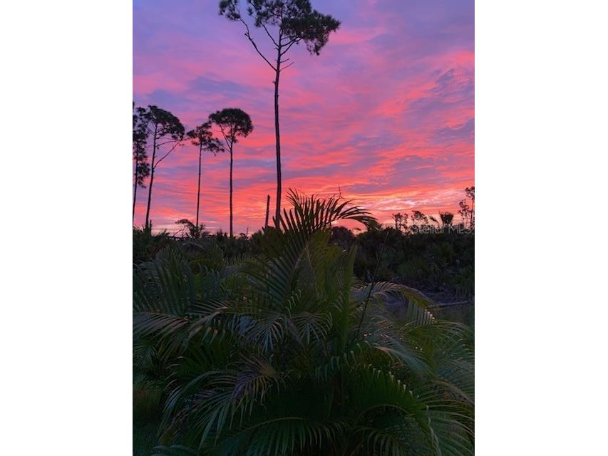 197 Jade Street Rotonda West FL 33947 D6141750 image3