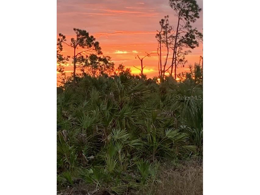 197 Jade Street Rotonda West FL 33947 D6141750 image4