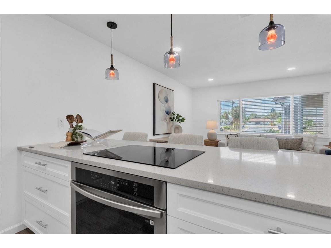 197 Lido Drive Saint Pete Beach FL 33706 W7879506 image11