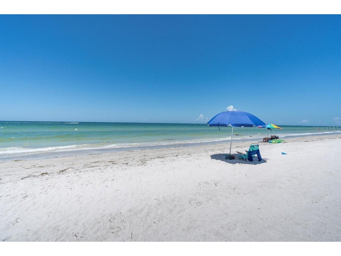 197 Lido Drive Saint Pete Beach FL 33706 W7879506 image45