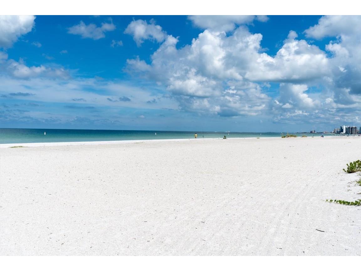 197 Lido Drive Saint Pete Beach FL 33706 W7879506 image46