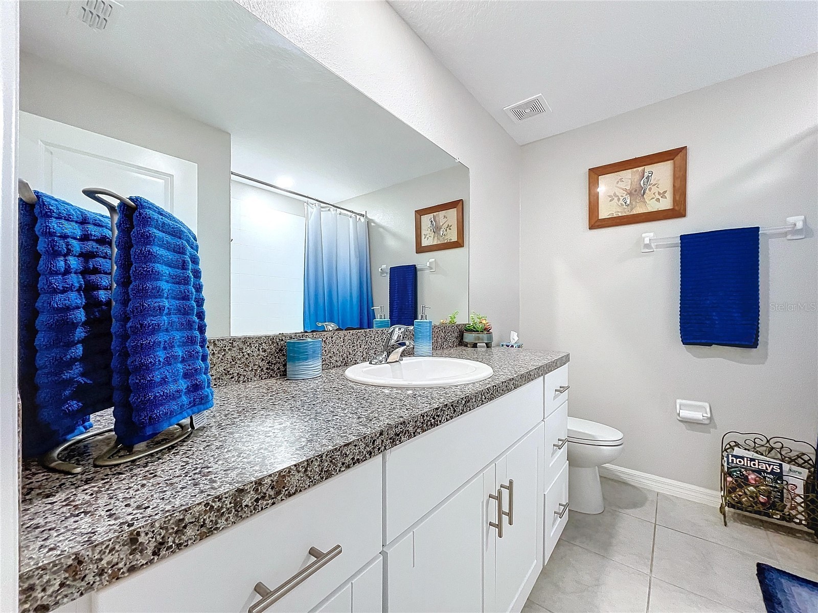 197 Rain Berry Avenue Ruskin FL 33570 TB8482708 image13