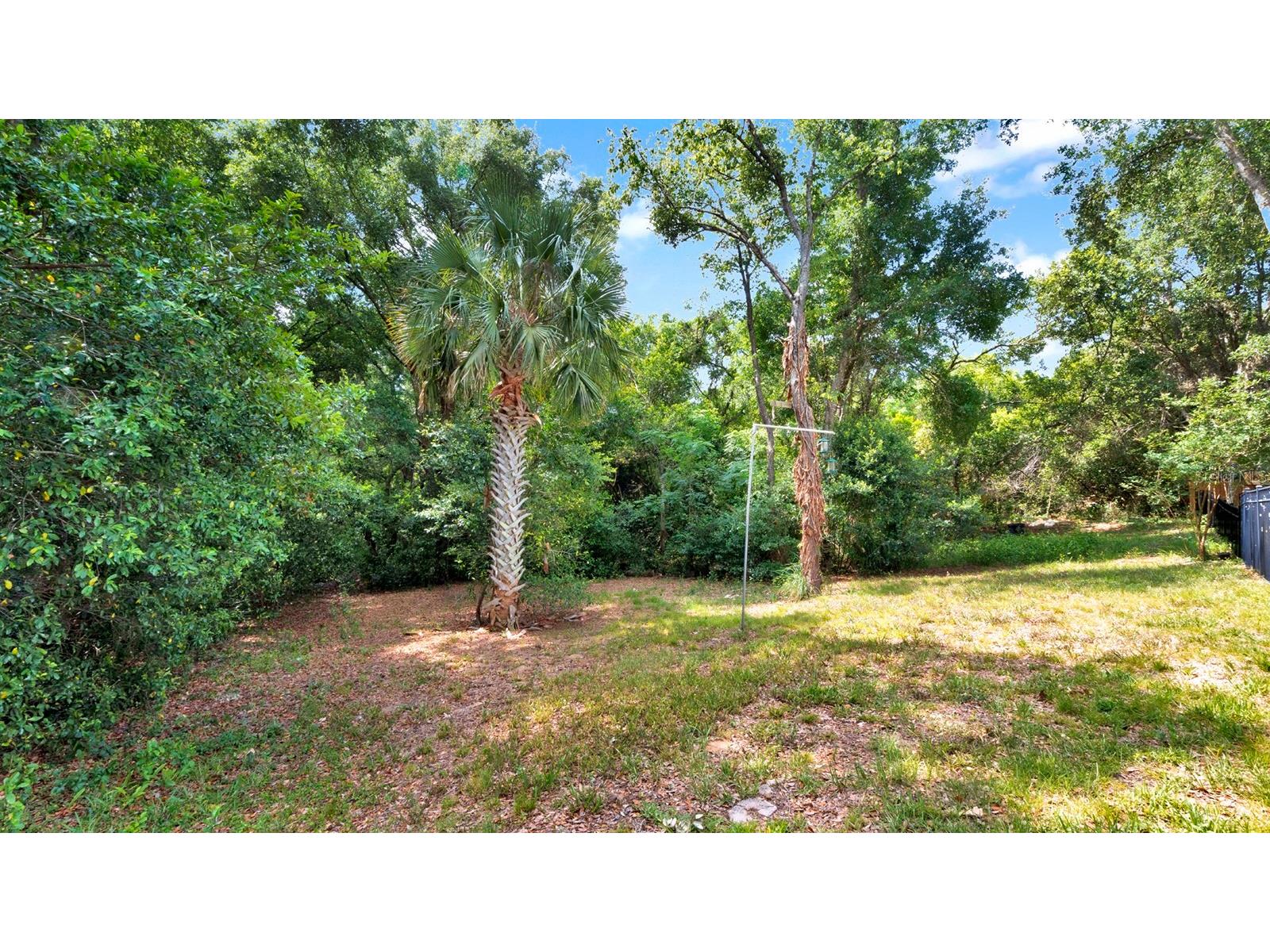1970 Carpathian Drive Apopka FL 32712 O6406451 image28