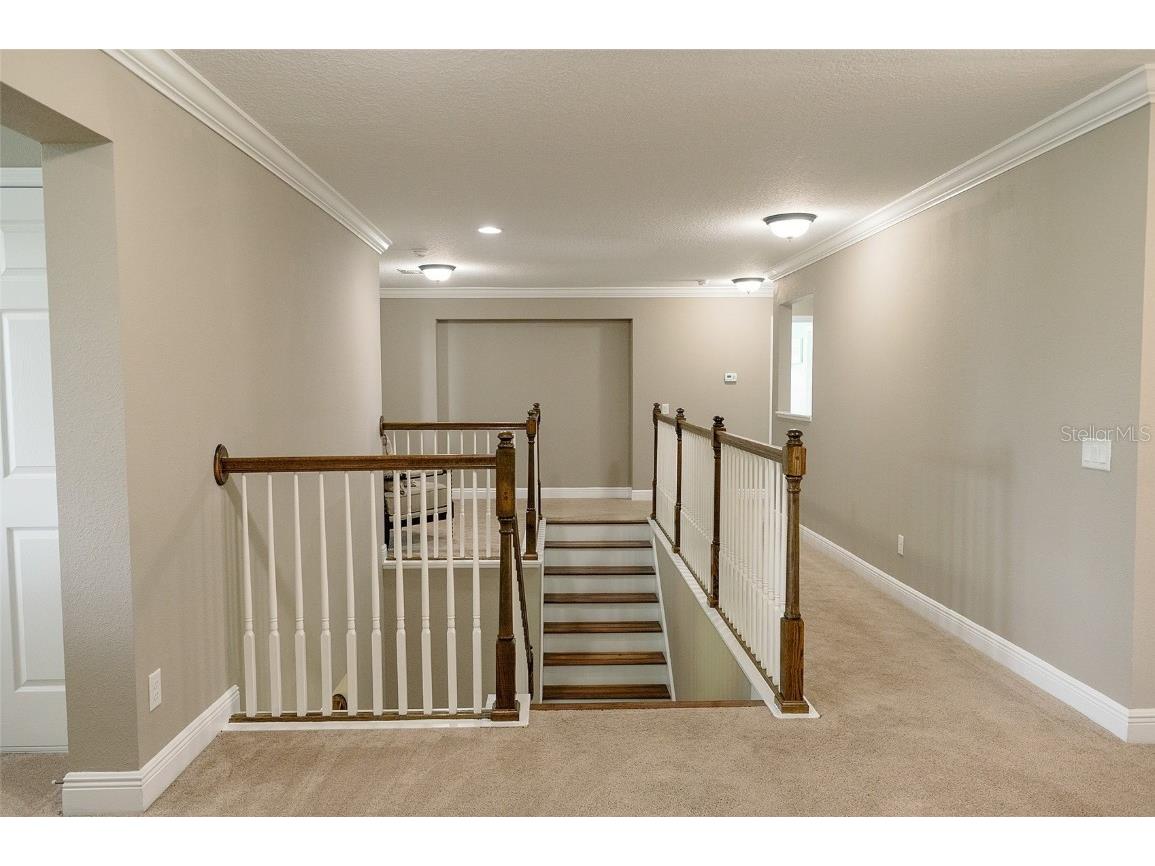 1970 Fox Grape Loop Lutz FL 33558 TB8424018 image25