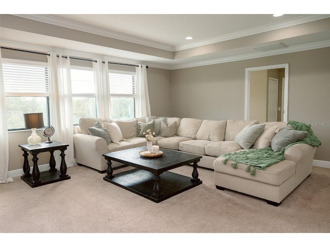 1970 Fox Grape Loop Lutz FL 33558 TB8424018 image28