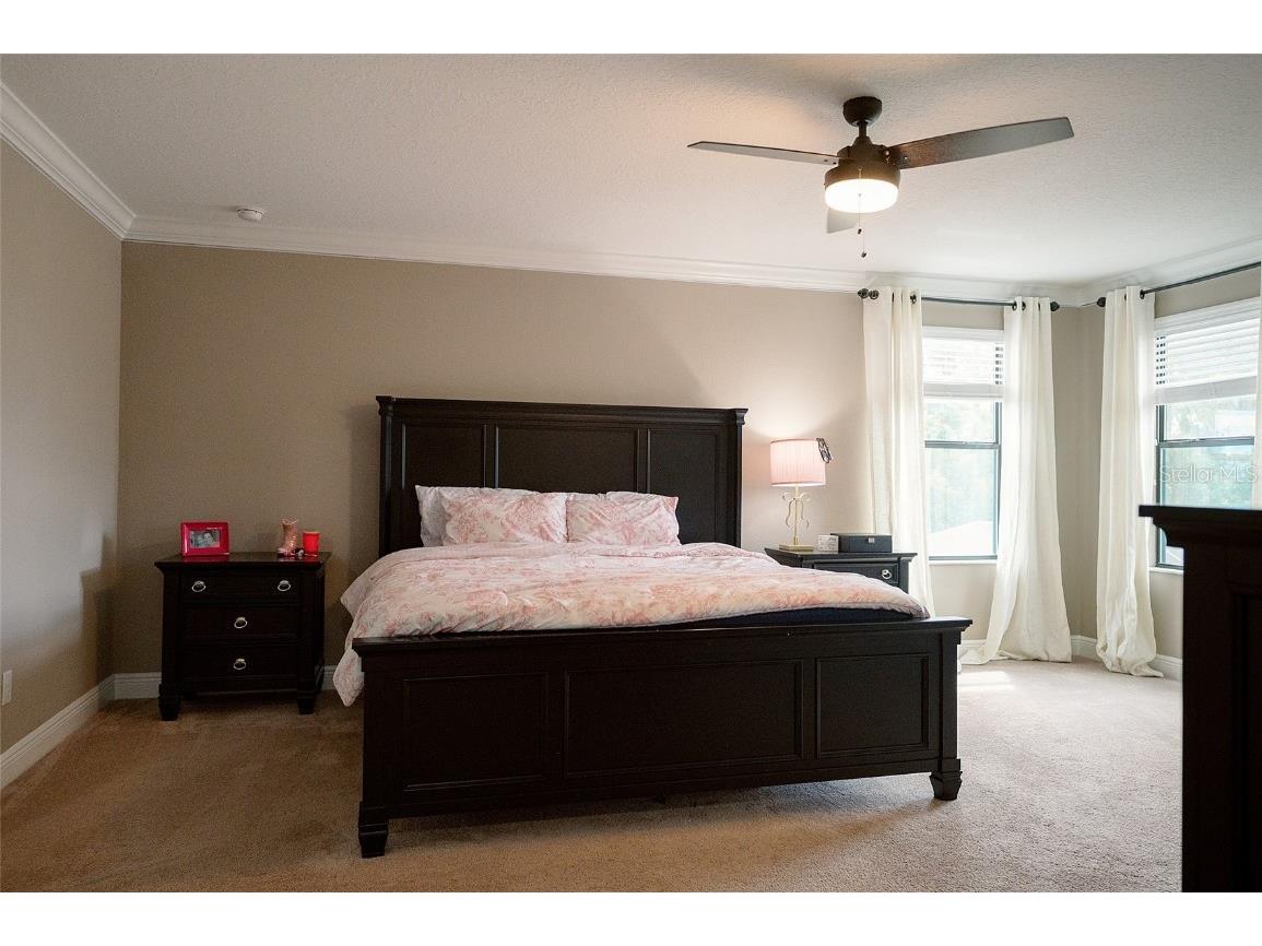 1970 Fox Grape Loop Lutz FL 33558 TB8424018 image30