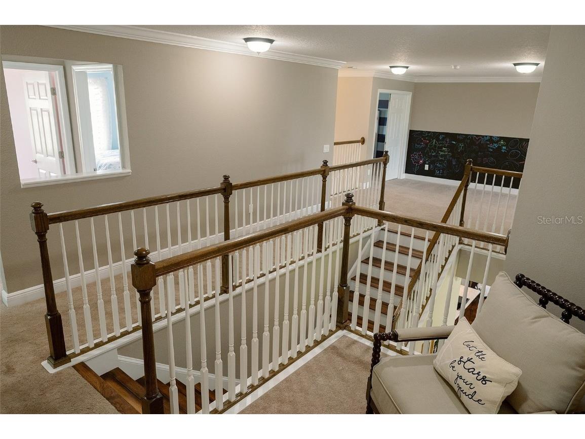 1970 Fox Grape Loop Lutz FL 33558 TB8424018 image33