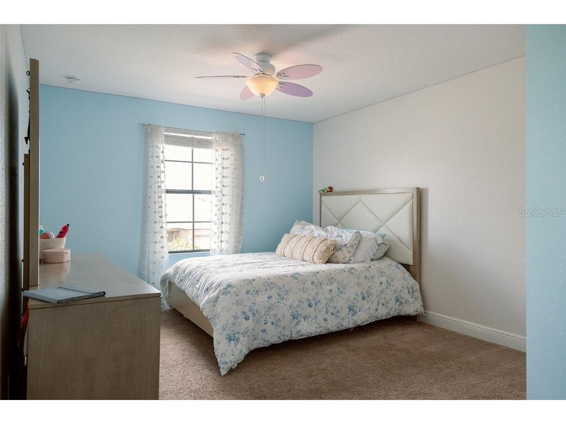 1970 Fox Grape Loop Lutz FL 33558 TB8424018 image36