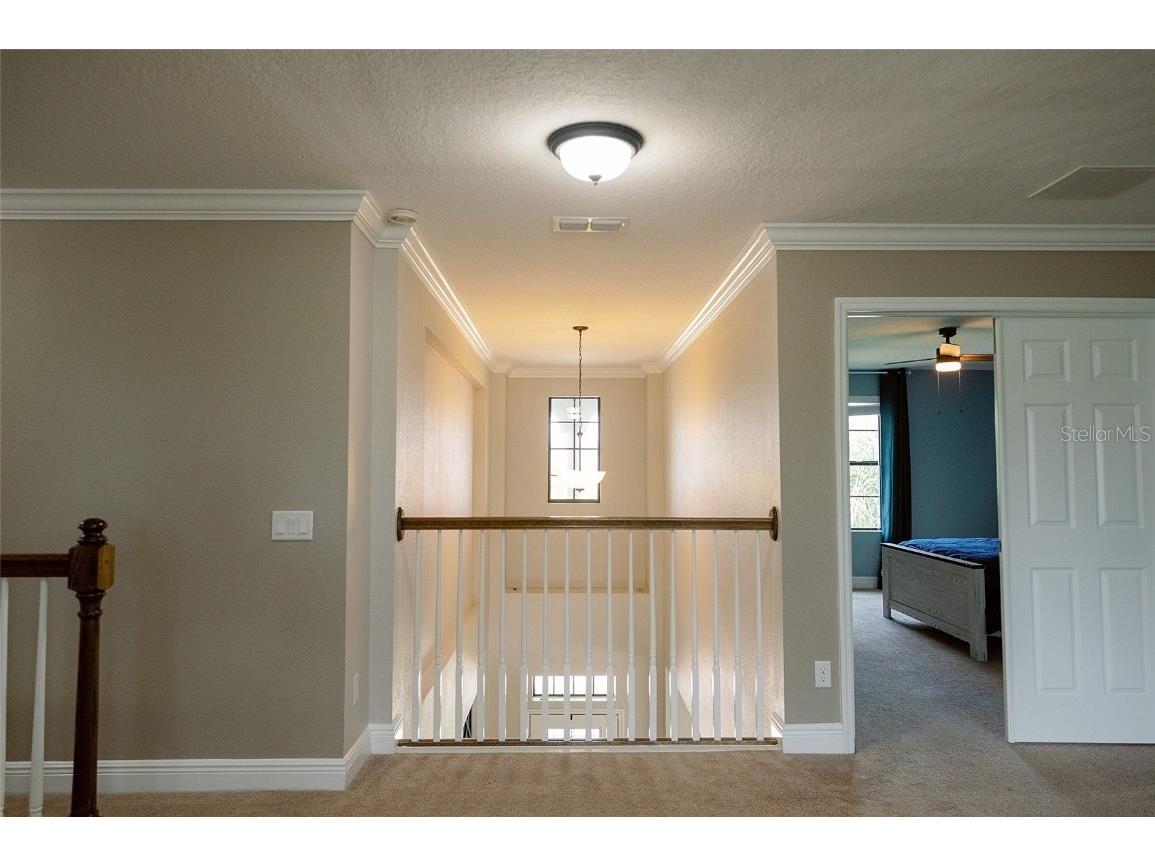 1970 Fox Grape Loop Lutz FL 33558 TB8424018 image37