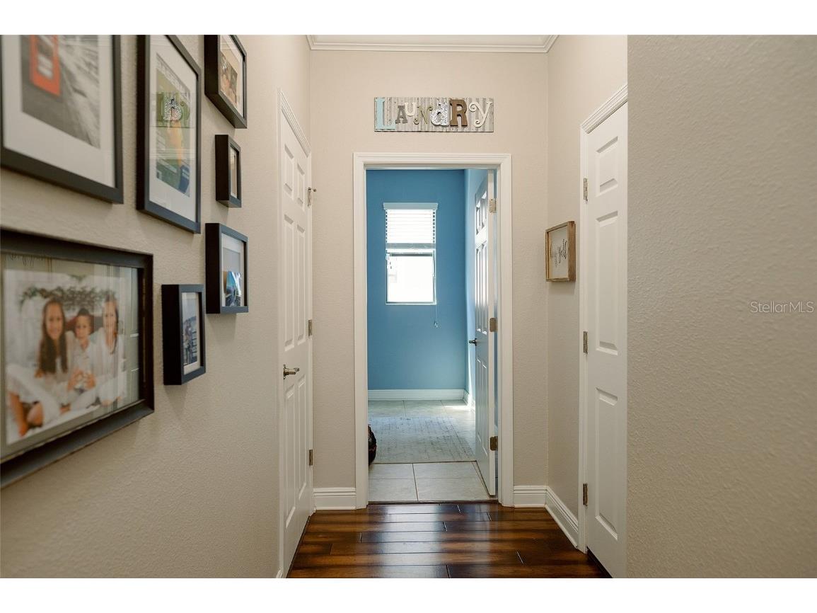 1970 Fox Grape Loop Lutz FL 33558 TB8424018 image39