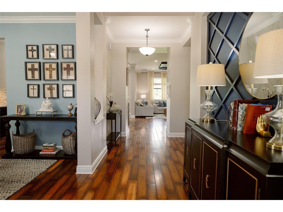 1970 Fox Grape Loop Lutz FL 33558 TB8424018 image5