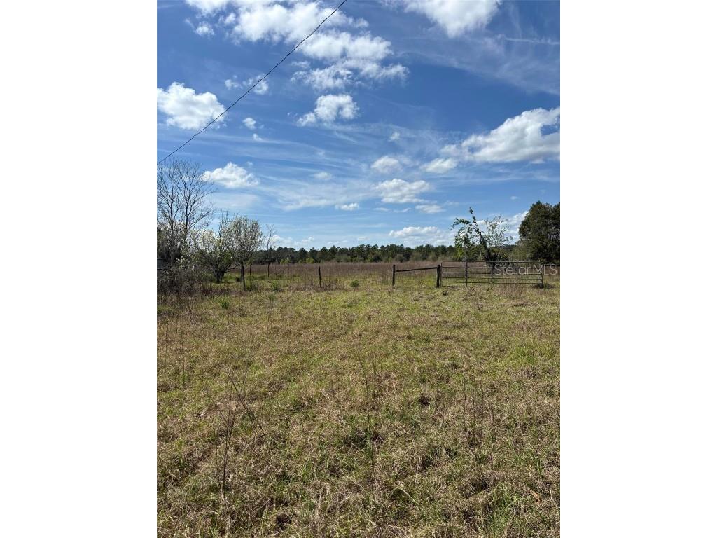 1970 Mcbride Road Seville FL 32190 O6290525 image5