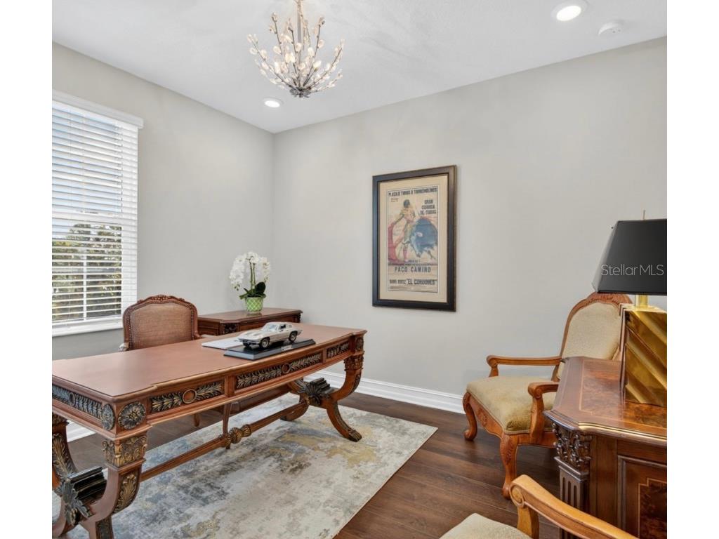 19700 Roseate Drive Lutz FL 33558 TB8441585 image13