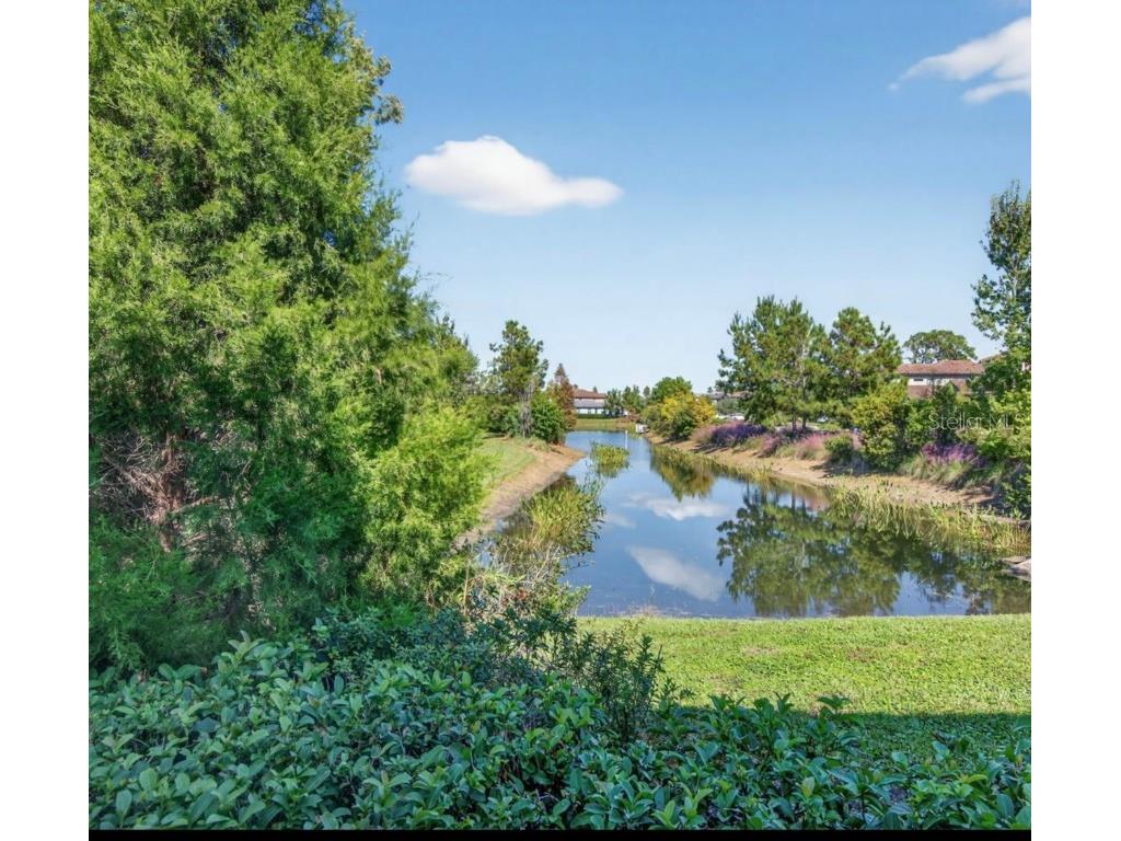 19700 Roseate Drive Lutz FL 33558 TB8441585 image23