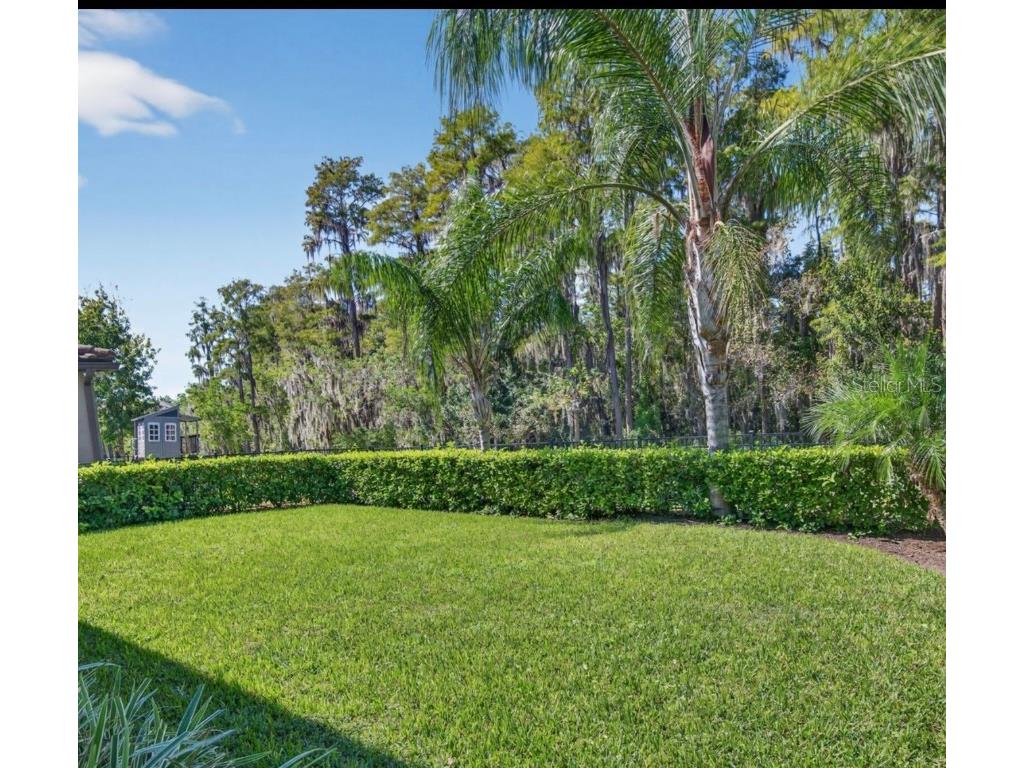 19700 Roseate Drive Lutz FL 33558 TB8441585 image24