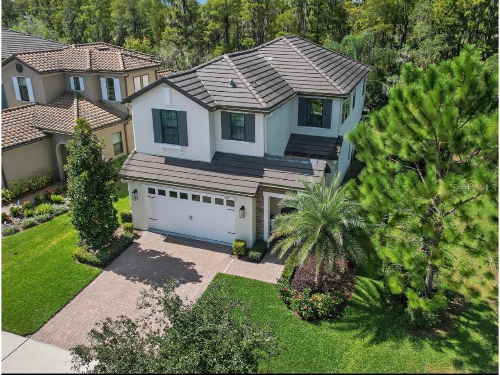 19700 Roseate Drive Lutz FL 33558 TB8441585 image26