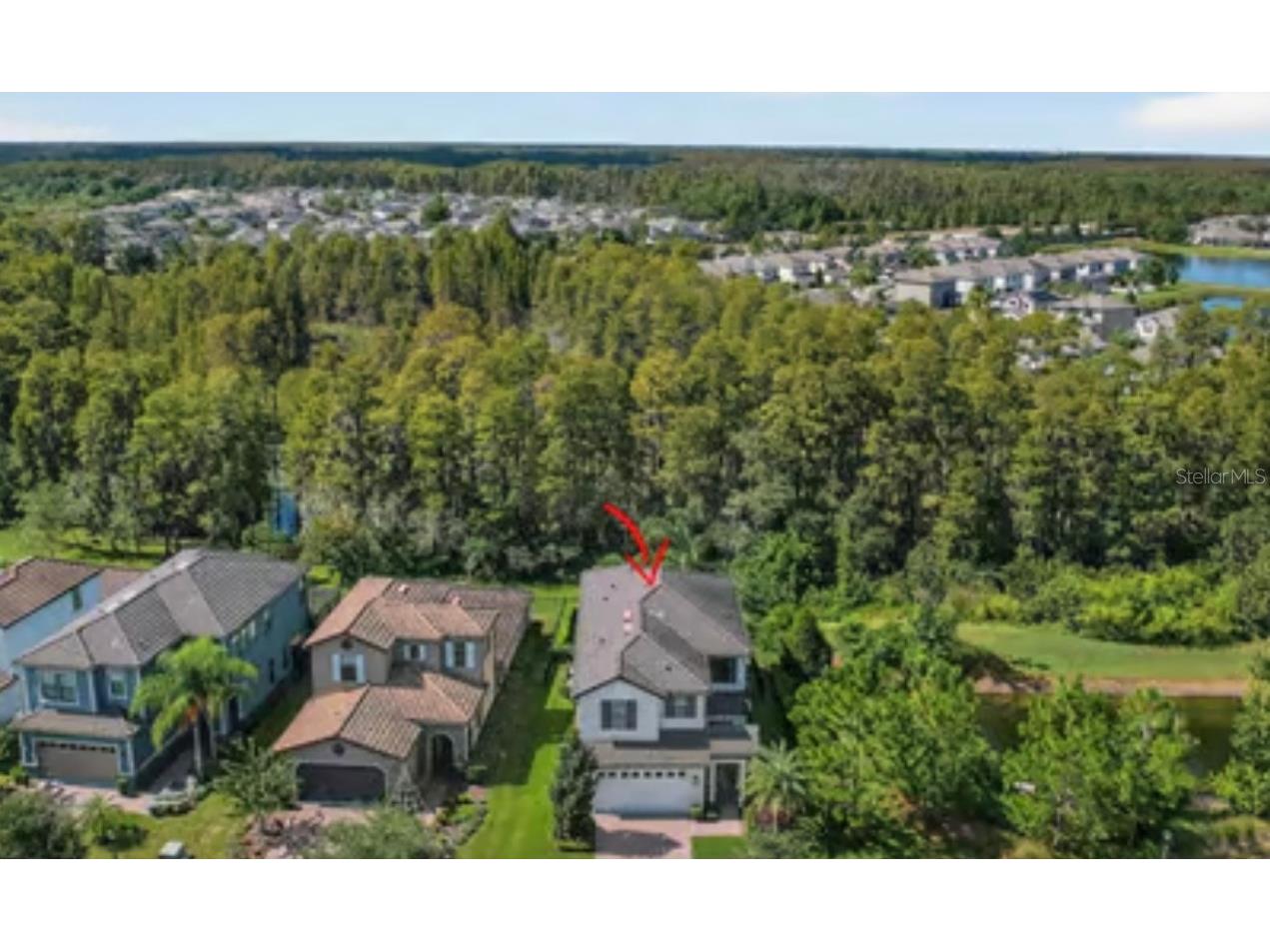 19700 Roseate Drive Lutz FL 33558 TB8441585 image27