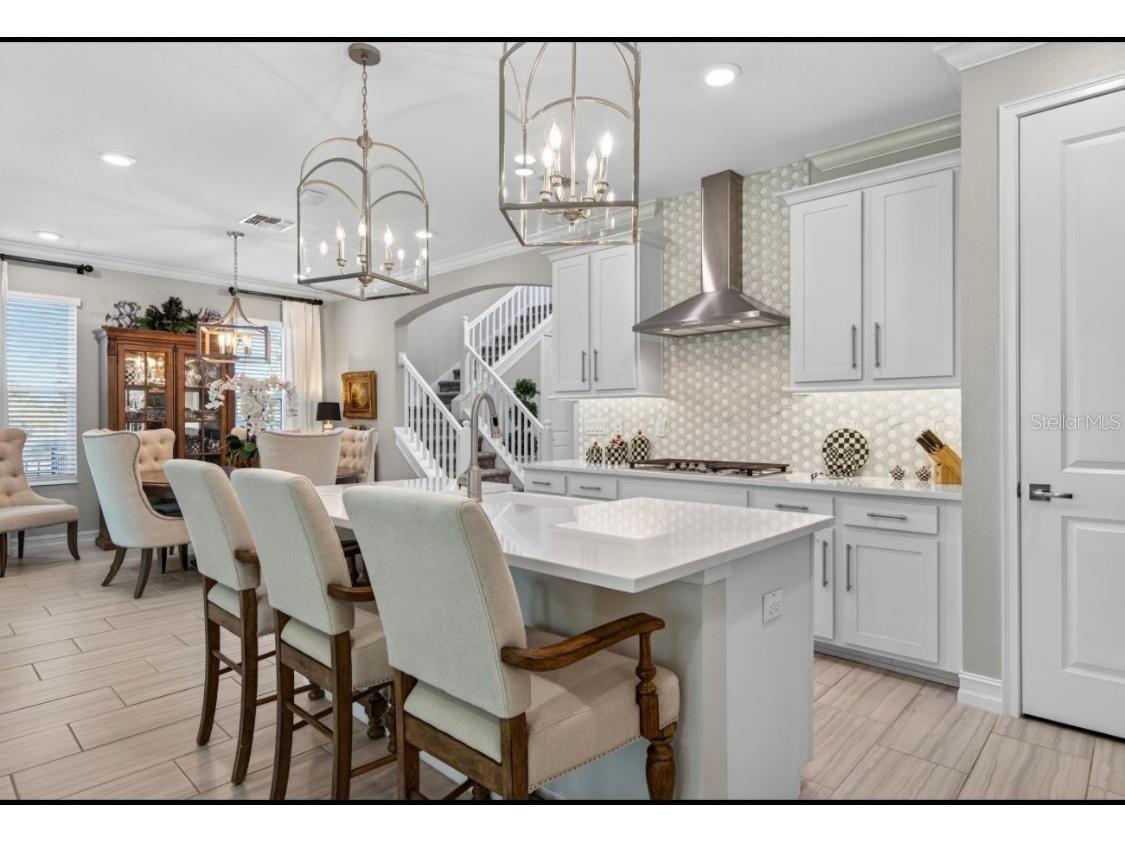 19700 Roseate Drive Lutz FL 33558 TB8441585 image3