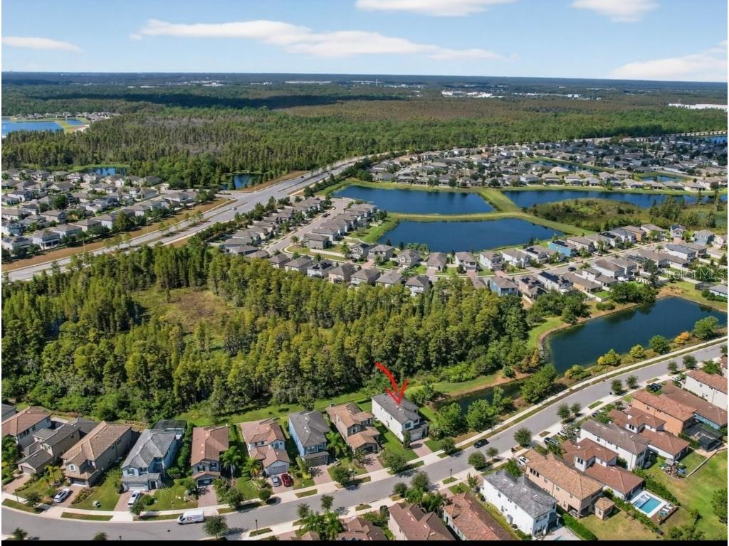 19700 Roseate Drive Lutz FL 33558 TB8441585 image30