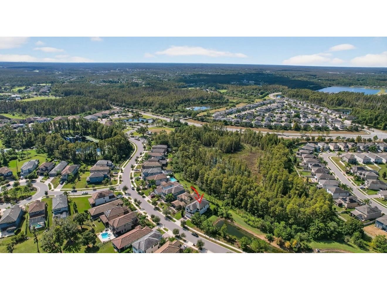 19700 Roseate Drive Lutz FL 33558 TB8441585 image34