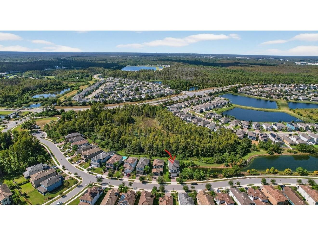 19700 Roseate Drive Lutz FL 33558 TB8441585 image35