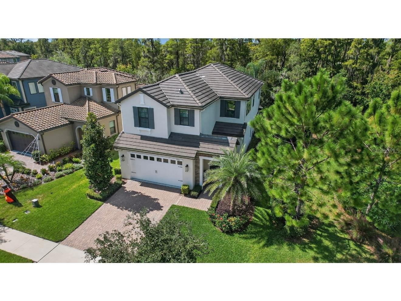 19700 Roseate Drive Lutz FL 33558 TB8441585 image41