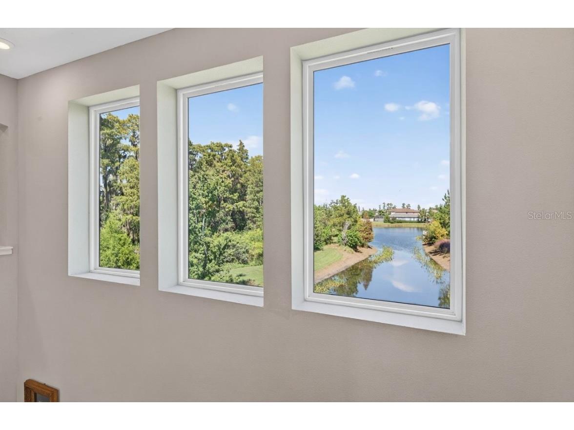 19700 Roseate Drive Lutz FL 33558 TB8441585 image43