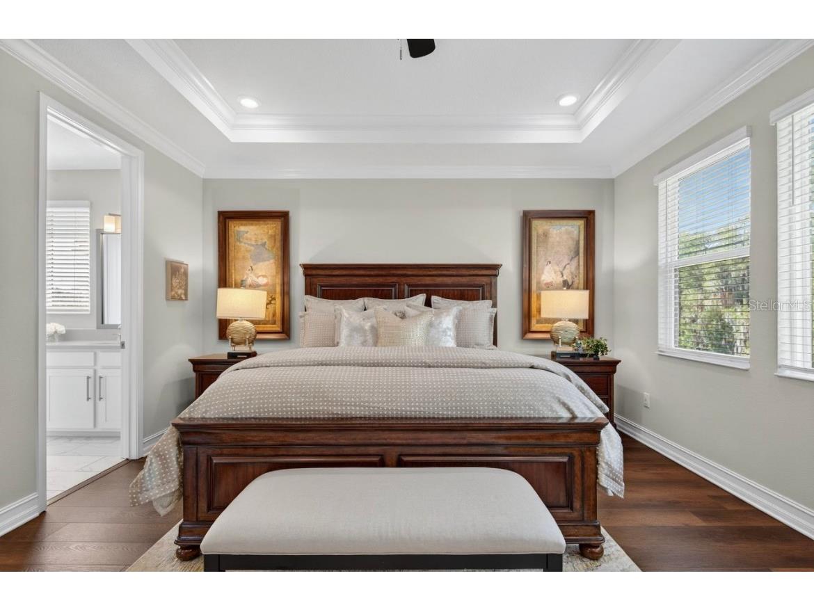 19700 Roseate Drive Lutz FL 33558 TB8441585 image53