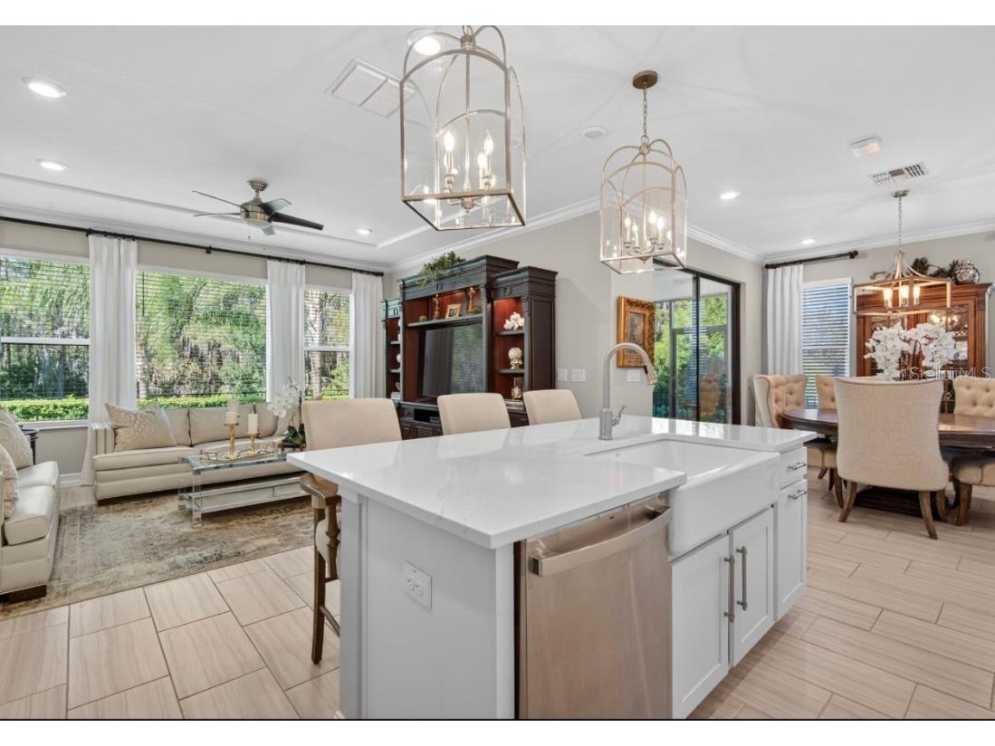 19700 Roseate Drive Lutz FL 33558 TB8441585 image6