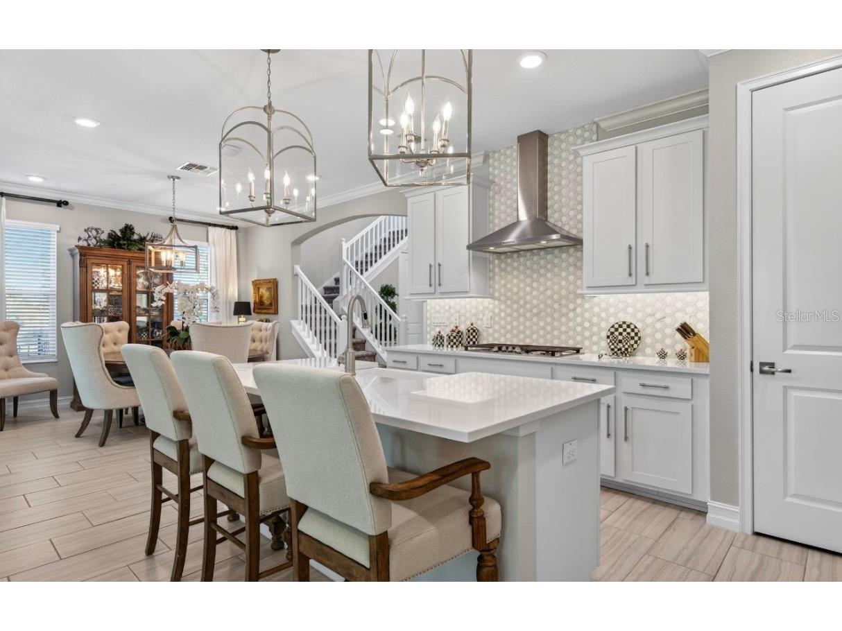 19700 Roseate Drive Lutz FL 33558 TB8441585 image60