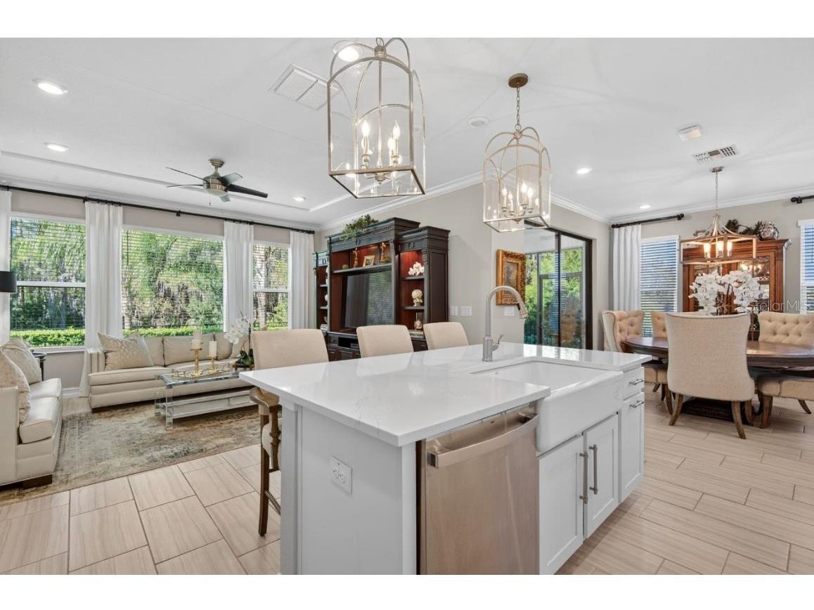 19700 Roseate Drive Lutz FL 33558 TB8441585 image61